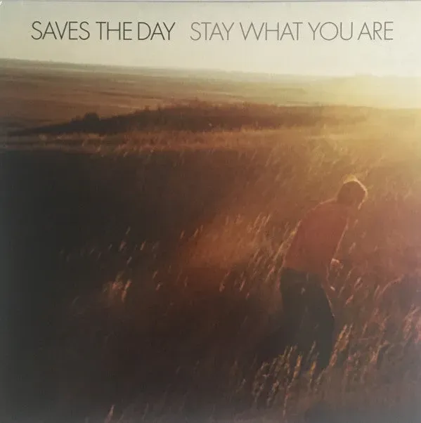Saves The Day Stay What You Are LP brukt emo