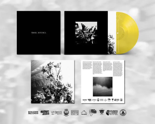 Vivora Botánica LP gul bildevinyl screamo