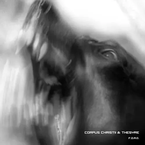 Corpus Christii Thesyhre F.O.A.D. split-CD black metal