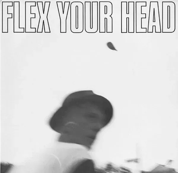 Various Flex Your Head LP vinyl blå repress brukt