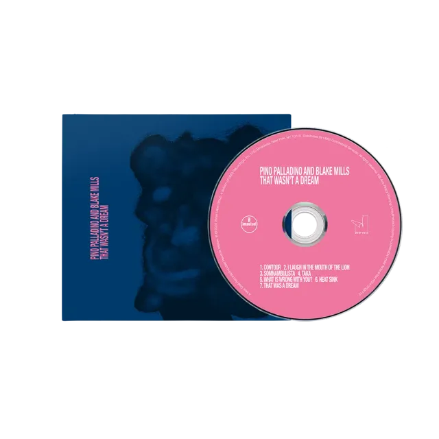 Pino Palladino That Wasn’t A Dream CD duoplate