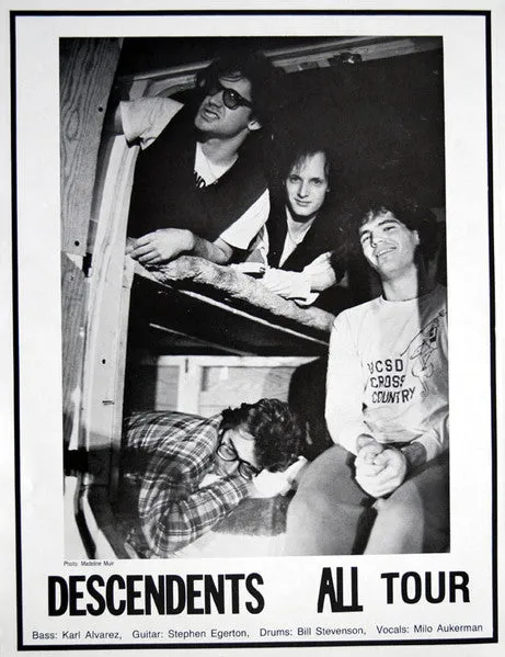 Descendents All LP vinyl brukt punk 1987