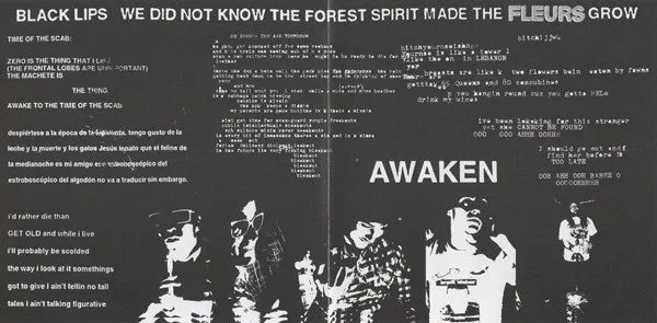 The Black Lips Forest Spirit CD brukt – BOMP 2004 garage