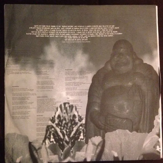 Blink-182 Buddha LP vinyl brukt remastret punk