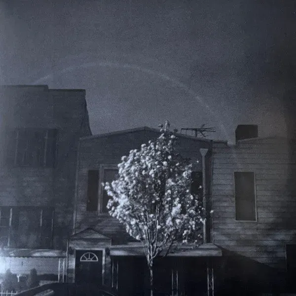 Open City Hands In The Honey Jar LP gronn vinyl