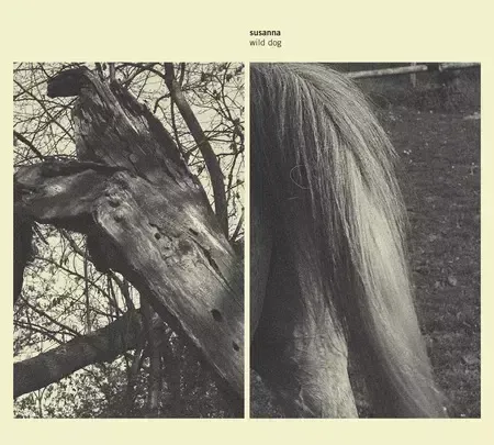 Susanna Wild Dog vinyl LP Hiorthøy-cover