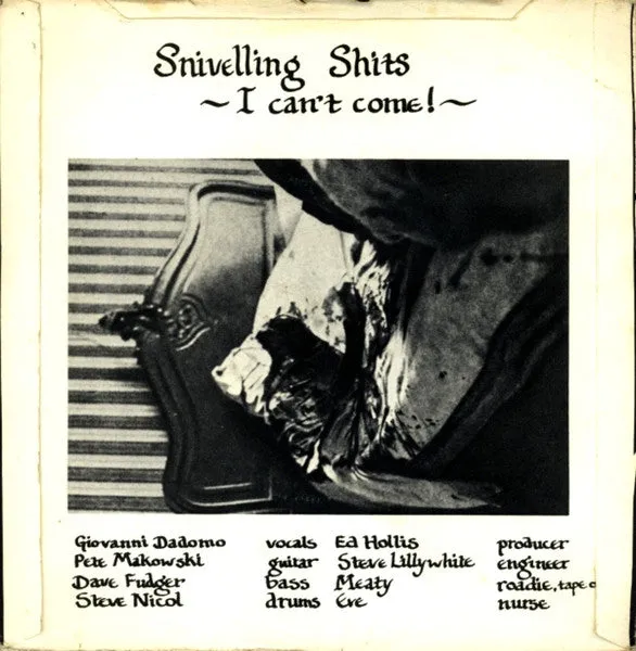 Snivelling Shits Terminal Stupid 7" singel brukt punk