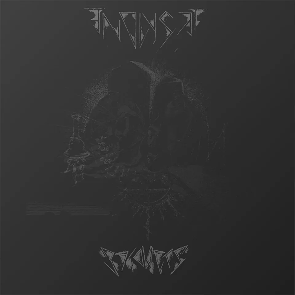 Endlyset Beholders LP svart vinyl bonusspor