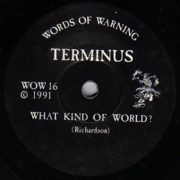 Terminus What Kind Of World 7" brukt testpress