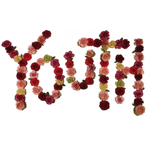 Citizen Youth RFC088 LP vinyl rosa førstepress brukt