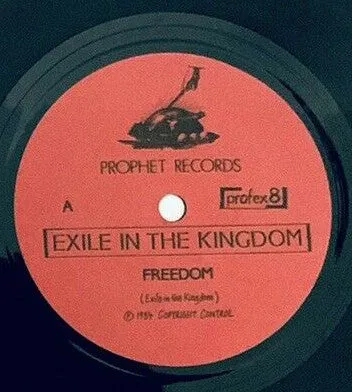 Exile In The Kingdom Freedom Profex 8 7" vinyl brukt punk