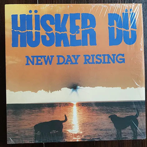 Hüsker Dü New Day Rising LP brukt reissue punk