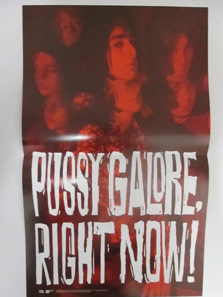 Pussy Galore Right Now! LP vinyl reissue brukt