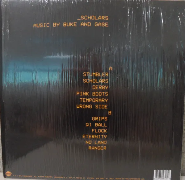 Buke And Gass Scholars vinylplate brukt 2019 artrock