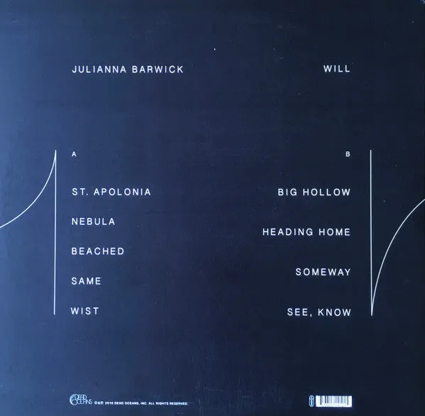 Julianna Barwick Will LP vinyl brukt ambient