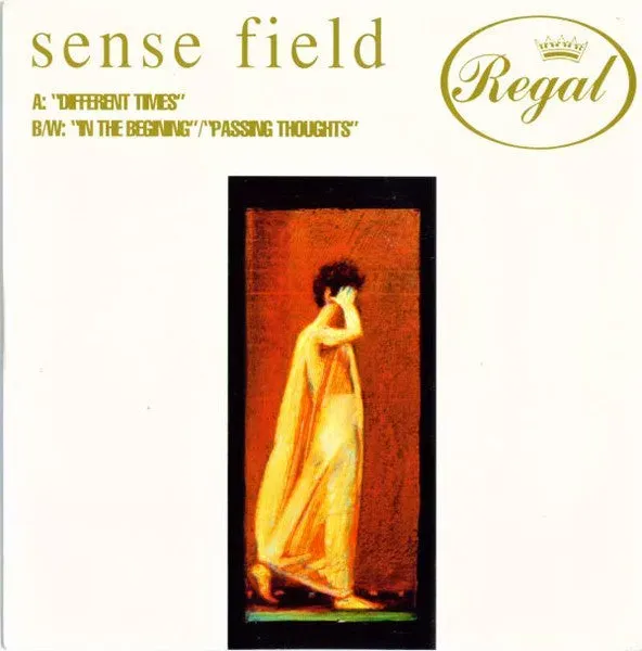 Sense Field Different Times 7" singel vinyl brukt emo