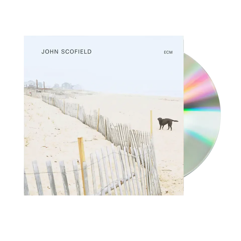 John Scofield Standard CD sologitar