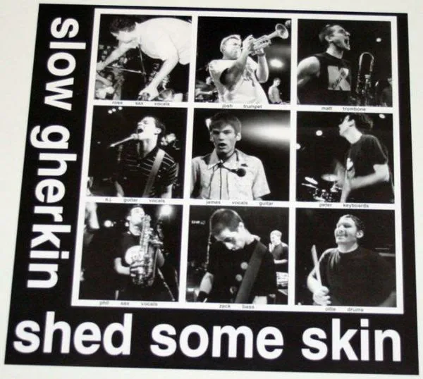 Slow Gherkin Shed Some Skin LP brukt 1998