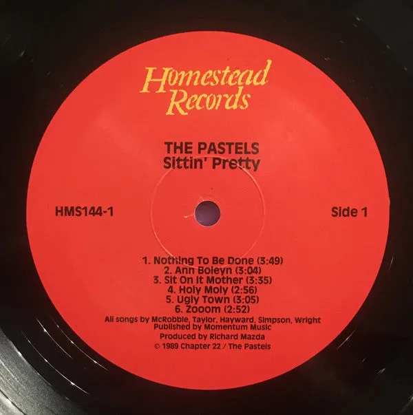 The Pastels Sittin' Pretty LP brukt – indie rock