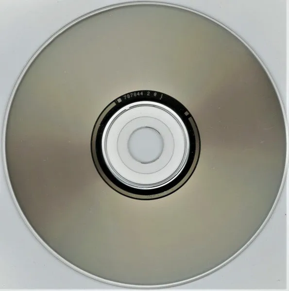 Ice-T Home Invasion CD brukt repress
