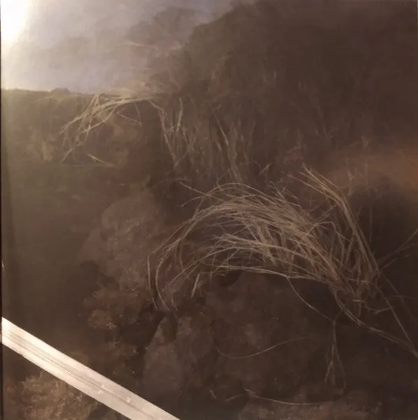 GGGOLDDD This Shame Should Not Be Mine 2xLP rosa vinyl brukt