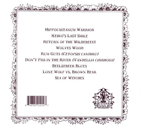 Old Man Lizard Lone Wolf Vs. Brown Bear CD brukt stoner