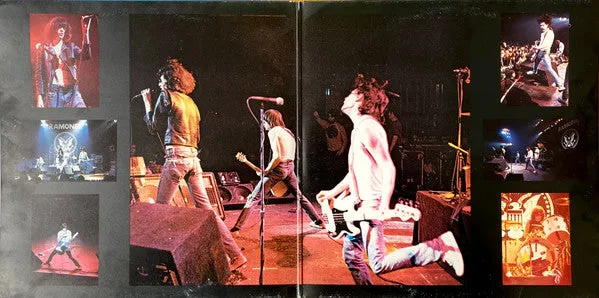 Ramones It's Alive 2xLP vinylplate brukt live