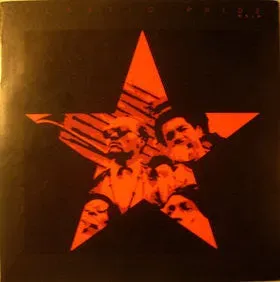 Plastic Pride Noir 7 EP rød vinyl brukt hardcore