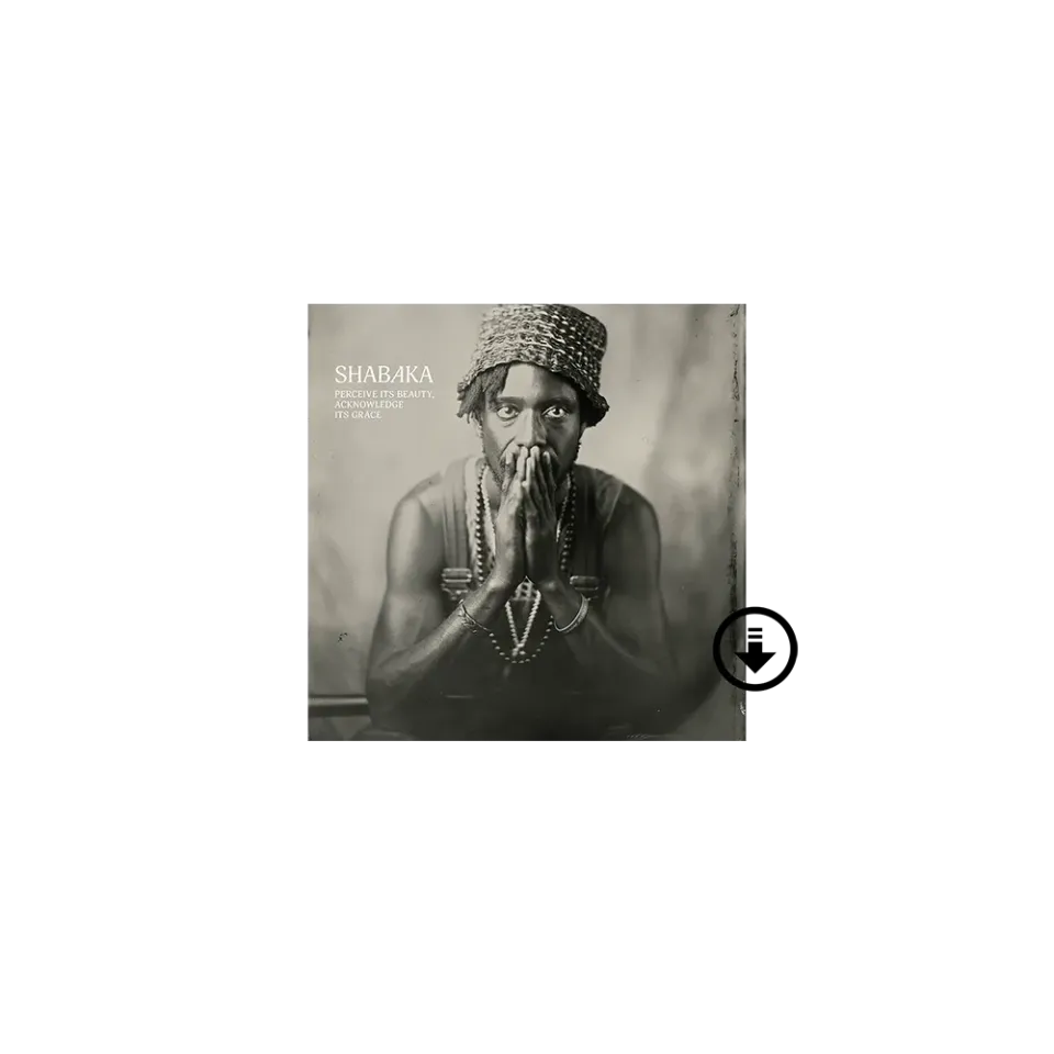 Verve Shabaka Perceive its Beauty digitalt album