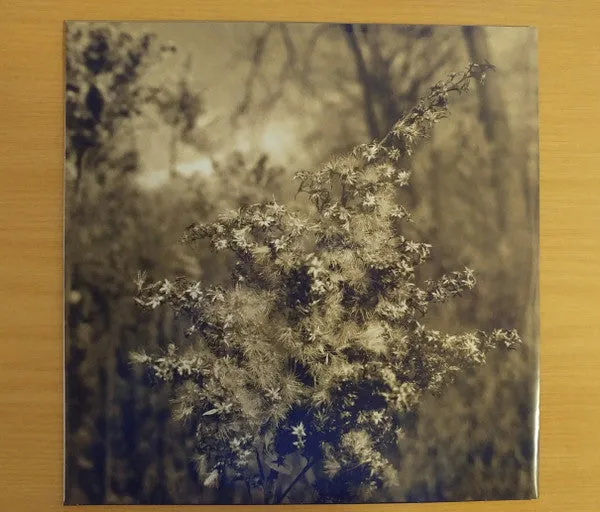 Heinali Matt Finney How We Lived LP vinyl brukt ambient