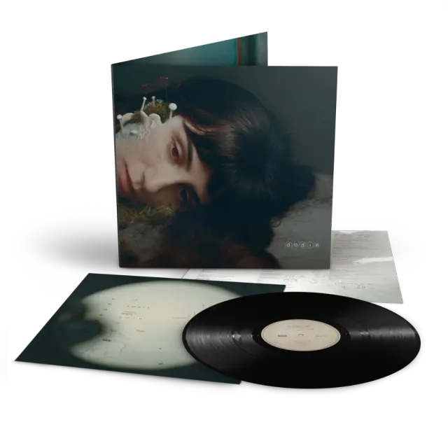 Verve dodie Not For Lack Of Trying vinyl-LP