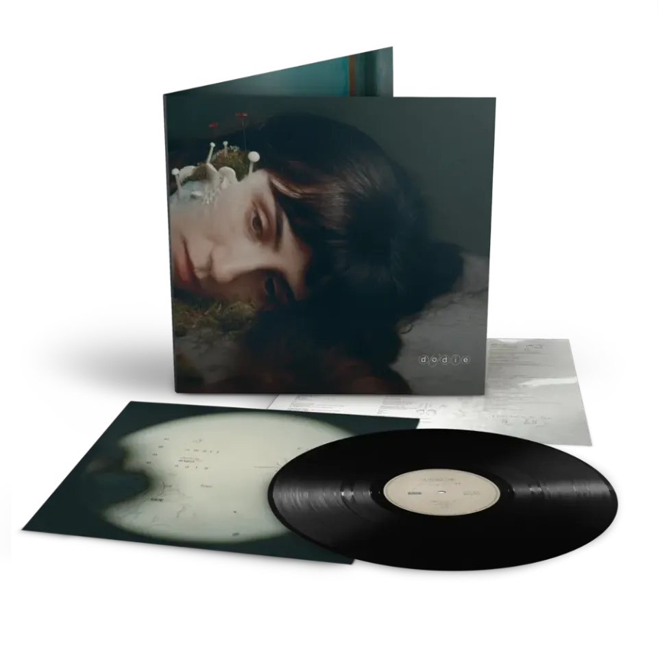 Verve dodie Not For Lack Of Trying vinyl-LP