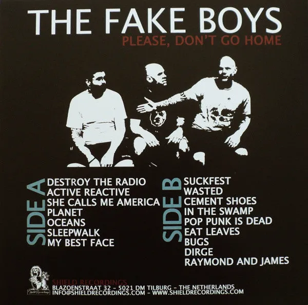 The Fake Boys Please Don't Go Home LP punk