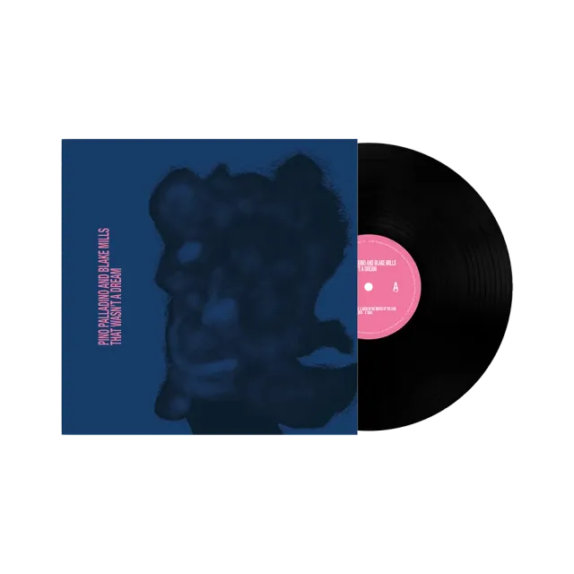 Pino Palladino Blake Mills That Wasn’t A Dream LP vinylplate