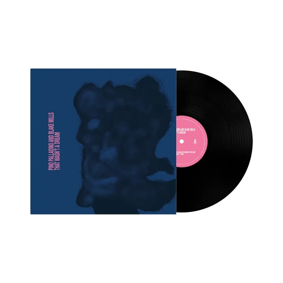 Pino Palladino Blake Mills That Wasn’t A Dream LP vinylplate