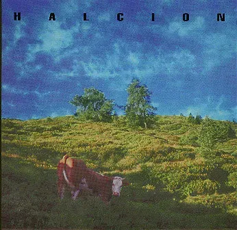 Halcion Squelch 7-tommer brukt