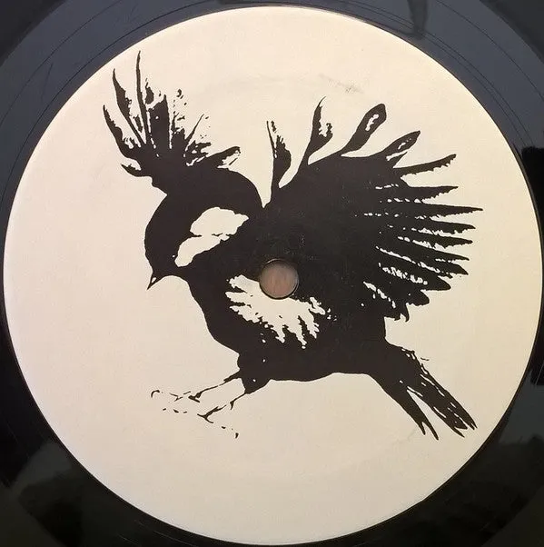 Fifteen Swain's First Bike Ride LP brukt vinyl punk VG+