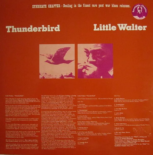 Little Walter Thunderbird LP brukt blues munnspill