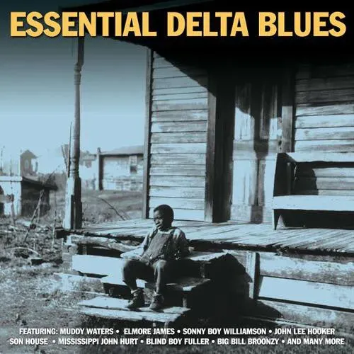 Essential Delta Blues NOT2CD321 brukt 2xCD delta blues