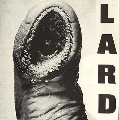 Lard The Power Of Lard 12" EP brukt industrial
