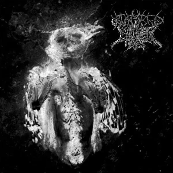 Burmese Cadaver Eyes Split CD brukt – grindcore