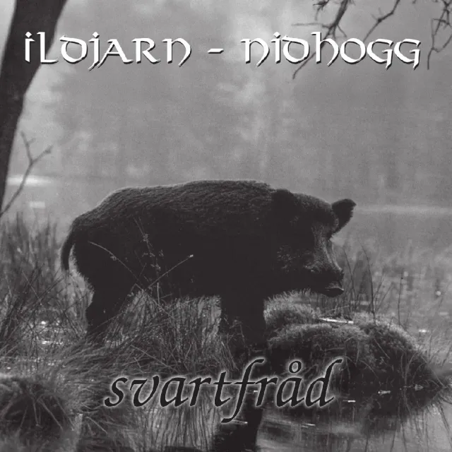 Ildjarn-Nidhogg Svartfråd CD digipak black metal