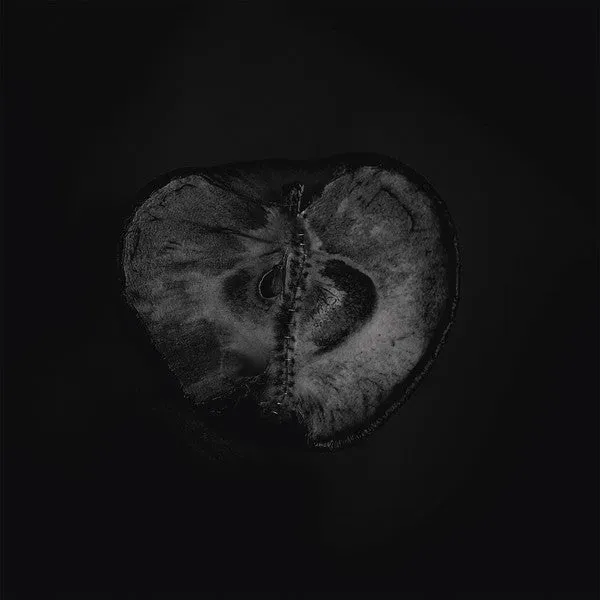 Sádon & Treha Sektori Symphony Of Dying LP brukt dark ambient
