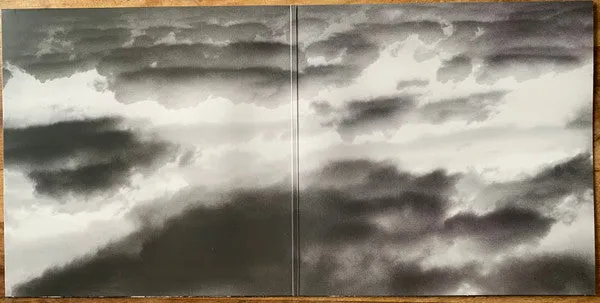 No Apologies Survival LP brukt hardcore blå