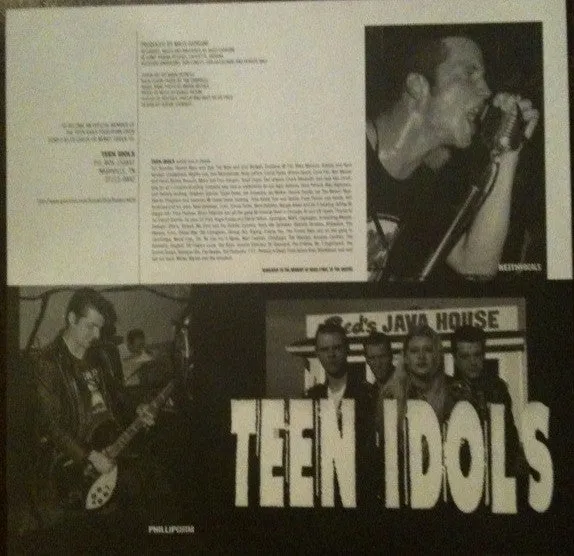 Teen Idols Pucker Up LP vinyl brukt pop-punk