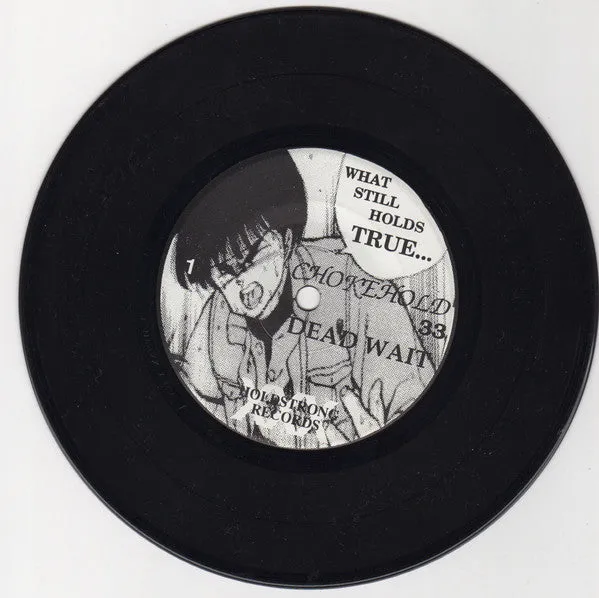Various What Still Holds True 7" brukt hardcore