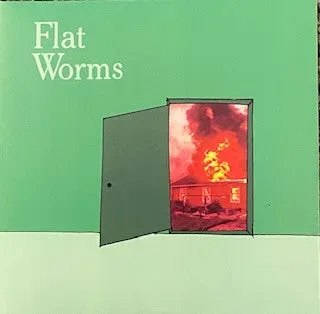 Flat Worms The Guest 7" vinylsingel brukt