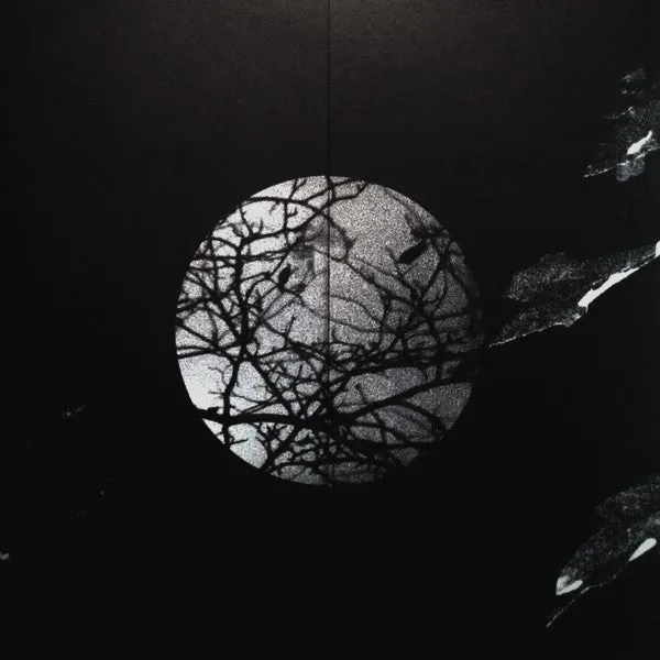 Raw Nerve Midnight 7" singel brukt NM