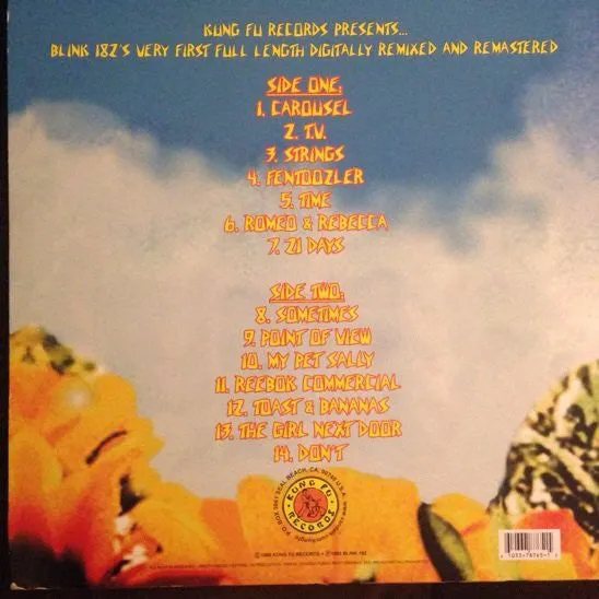 Blink-182 Buddha LP vinyl brukt remastret punk