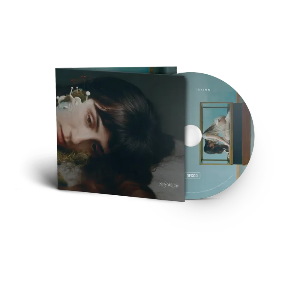 dodie Not For Lack Of Trying CD standard